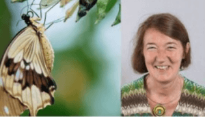 Constance Yver-Elleaume 350x200