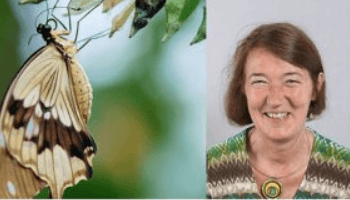 Constance Yver-Elleaume 350x200