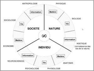 Roue des sciences et des disciplines