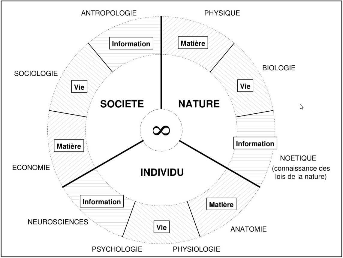 Roue des sciences et des disciplines